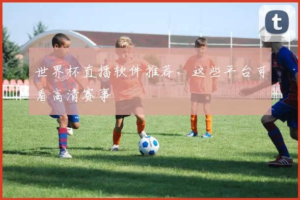 世界杯直播软件推荐，这些平台可看高清赛事