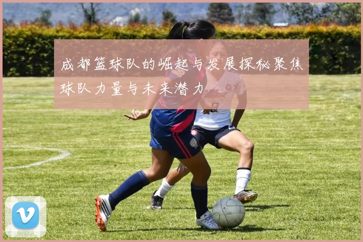 成都篮球队的崛起与发展探秘聚焦球队力量与未来潜力
