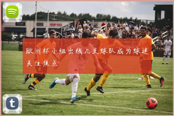 欧洲杯小组出线几支球队成为球迷关注焦点