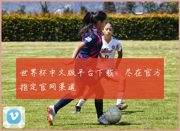 世界杯中文版平台下载，尽在官方指定官网渠道