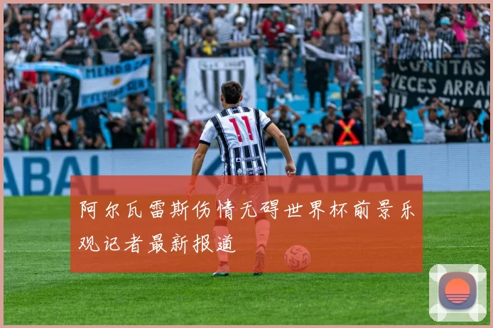 阿尔瓦雷斯伤情无碍世界杯前景乐观记者最新报道