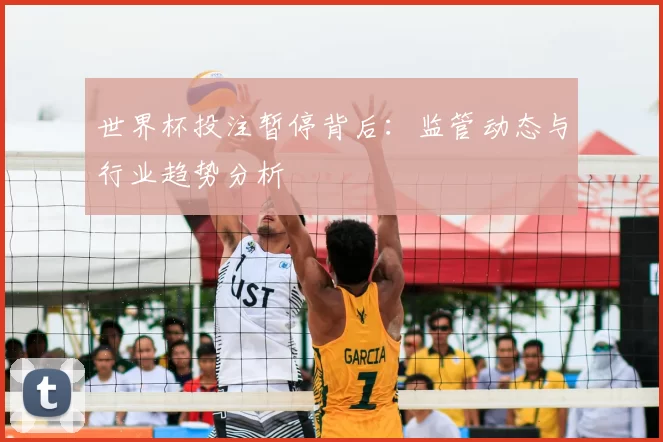 世界杯投注暂停背后:监管动态与行业趋势分析