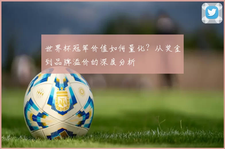 世界杯冠军价值如何量化？从奖金到品牌溢价的深度分析