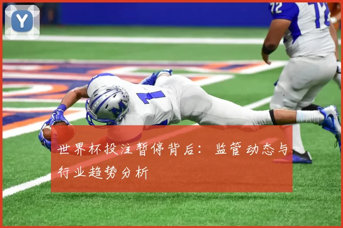 世界杯投注暂停背后:监管动态与行业趋势分析