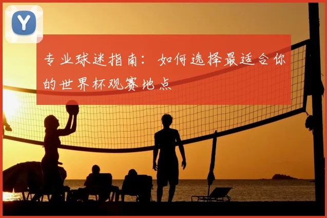 专业球迷指南：如何选择最适合你的世界杯观赛地点
