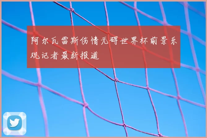 阿尔瓦雷斯伤情无碍世界杯前景乐观记者最新报道