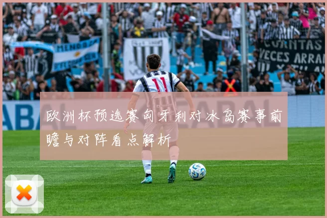 欧洲杯预选赛匈牙利对冰岛赛事前瞻与对阵看点解析