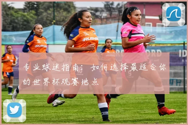 专业球迷指南：如何选择最适合你的世界杯观赛地点