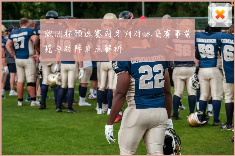 欧洲杯预选赛匈牙利对冰岛赛事前瞻与对阵看点解析