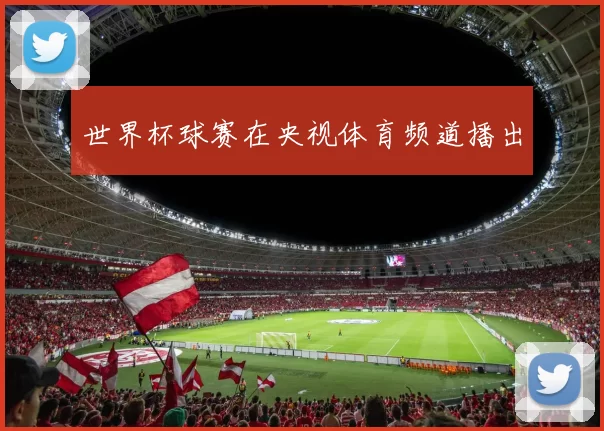 世界杯球赛在央视体育频道播出