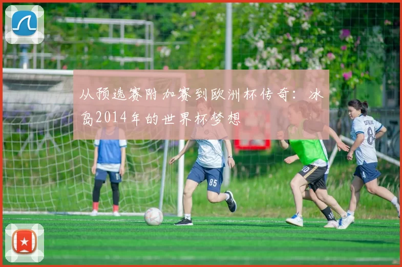 从预选赛附加赛到欧洲杯传奇：冰岛2014年的世界杯梦想
