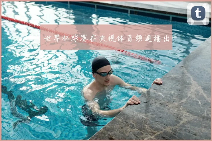 世界杯球赛在央视体育频道播出