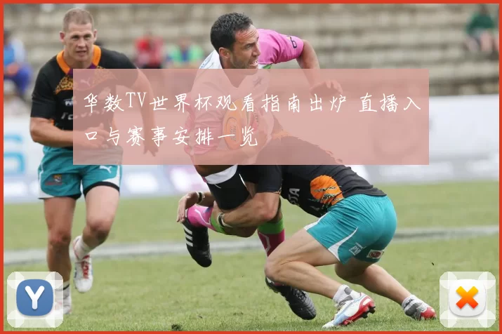 华数TV世界杯观看指南出炉 直播入口与赛事安排一览